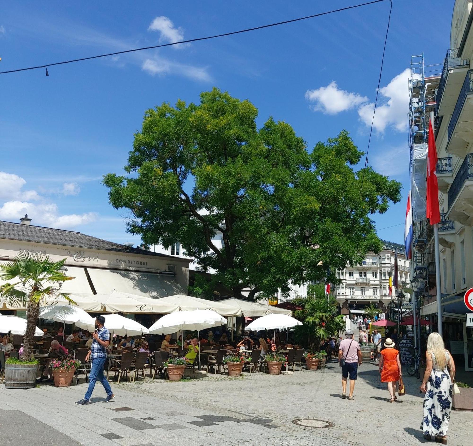 Gemuetliches J&L Apartment Nahe Des Hauptbahnhofes บาเดน-บาเดน ภายนอก รูปภาพ