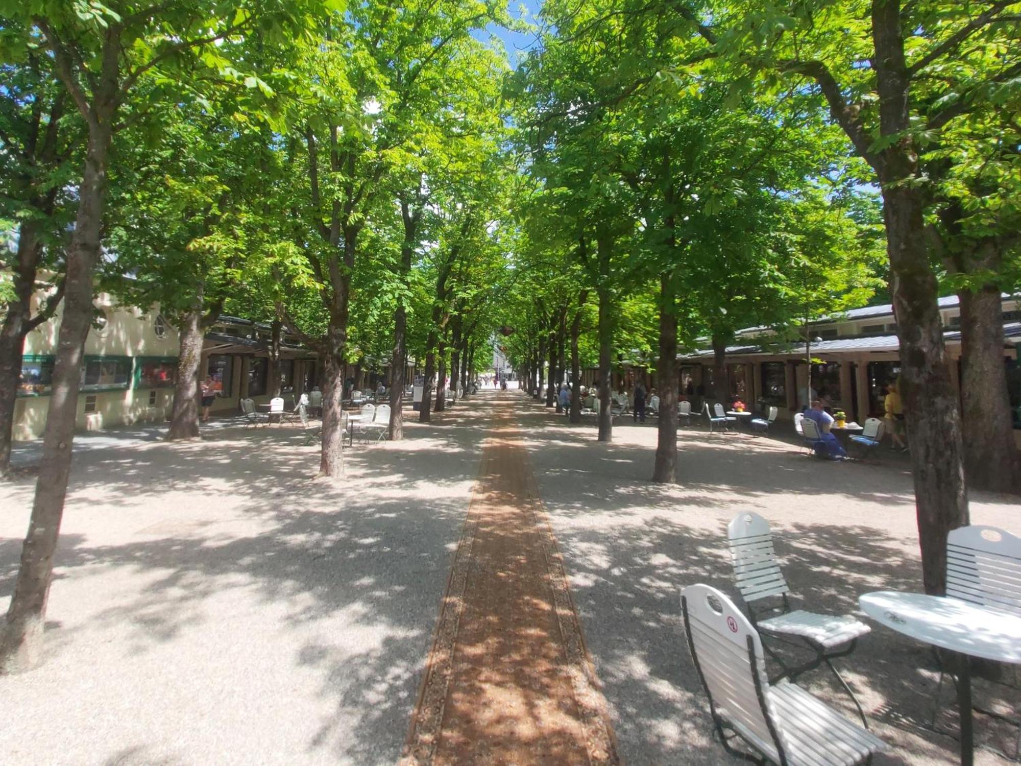 Gemuetliches J&L Apartment Nahe Des Hauptbahnhofes บาเดน-บาเดน ภายนอก รูปภาพ